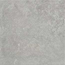 Gạch lát sàn Trường Thịnh GENESIS SERIES BR55E13